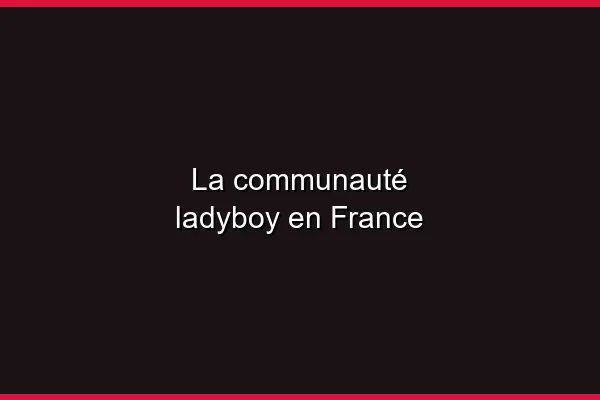 Comprendre la diversité trans